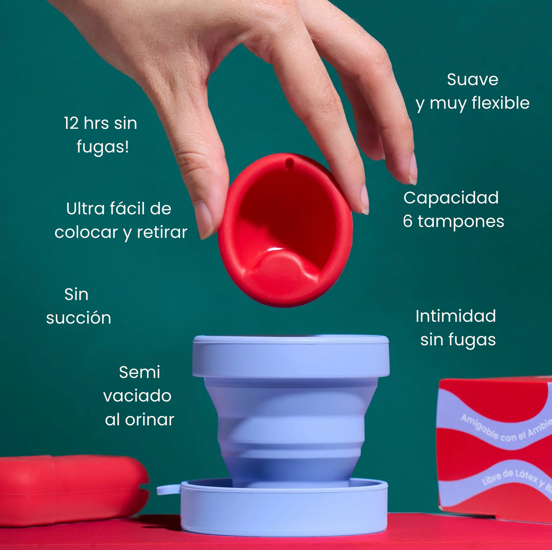 Bundle 2 Discos (+ Portadiscos + Shaker)