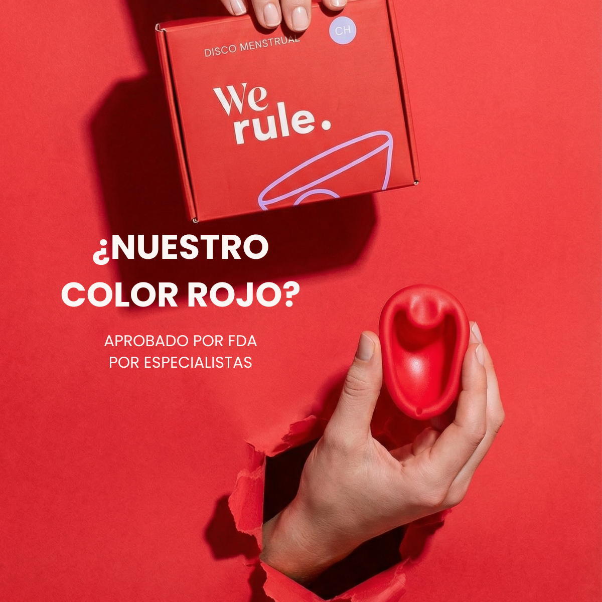 Kit Completo We Rule